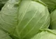 Tratamente miraculoase cu varză albă. De ce este un bun remediu pentru diabetul zaharat