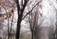 Vremea se răcește. Prognoza meteo pe trei zile 