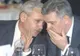 Zgonea: Pentru mine este o onoare să fac echipă cu Liviu Dragnea 