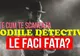 Uite cum te scanează zodiile detectiv! Le faci faţă? 