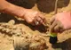 Descoperire arheologică importantă la Mangalia: "Am fost deosebit de surprins"