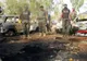 Un nou atentat cu bombă zguduie lumea. 21 de persoane au murit în timpul unei procesiuni