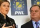 Liberalii apelează la o firmă specializată pentru reformarea partidului 