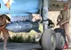 ATENTATE TERORISTE PARIS. Bombardament masiv francez asupra fiefului SI la Raqa, Siria