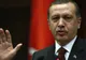 Declaraţie şocantă a lui Erdogan: Regimul Hitler este un model de sistem prezidenţial eficient
