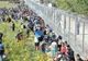 Criza imigranților. Ungaria acuză UE de "ipocrizie" pe tema construcției de garduri la frontiere 