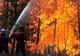 Incendiu de proporții în Gorj: 50 de hectare de pădure, cuprinse de flăcări