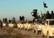 Rusia scade costurile războiului împotriva ISIS. Cât costă o zi de bombardamente