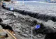 Anunțul trist al ONU. Câți oameni au murit în ultimii 20 de ani din cauza catastrofelor naturale