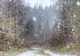 Avertisment de la METEO. Temperatura se prăbușește la minus 10 grade. Când vin ninsorile 