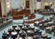 Şova, menajat de partid. PSD nu vine la Comisia Juridică pentru a discuta cererea de arestare