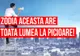 Singura zodie care are TOATĂ LUMEA LA PICIOARE