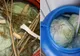 Legătura incredibilă dintre varza murată şi cancer. Nu s-a ştiut asta până acum