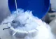 Cum arată primii căţei născuţi după un tratament de fertilizare in vitro