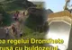 Anchetă penală după ce buldozerele au distrus cetatea regelui dac Dromihete