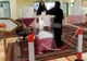 Prima femeie aleasă în Arabia Saudită într-o funcție publică