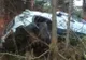 Un polițist a făcut accident după ce i-a intrat ceva pe geam și l-a atacat. Nu se aștepta la asta! 