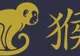 Anul Maimuţei 2016. Care vor fi cele mai avantajate zodii 