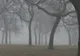Atenționare de ultimă oră de la meteo. Cod galben de ceaţă