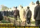 Cioban: Această lege înseamnă pentru oierit arest la domiciliu! Moarte sigură!