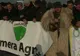 Legea Vânătorii poate fi modificată de Guvern, după protestul ciobanilor în faţa Parlamentului