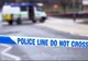 Tripla crimă în circumstanţe bizare, în Fanţa. Doi soţi şi fiul acestora, împuşcaţi mortal