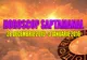 Horoscop săptămânal 28 decembrie 2015 – 3 ianuarie 2016