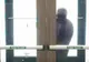 Cel mai neîndemânatic hoţ din lume: a vrut să jefuiască o bancă, dar a întâmpinat un "obstacol"