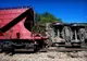 Tragedie! 18 morţi în urma coliziunii dintre un tren şi un microbuz