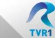 Televiziunea Română vrea să redenumească canalele. Cum se vor numi TVR 1 și TVR 2