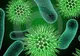 Locul de pe corp unde se ascund până la 2.000 de bacterii. Nici nu bănuiai că e ăsta!