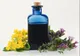 Antibioticul natural care tratează toate infecțiile. Ușor de preparat acasă și la îndemâna oricui