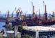 Conducerea CNAPMC, protejată? De ce nu s-a luat nicio măsură în urma raportului CC al MT