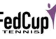Cehia a anunţat echipa pentru partida de FED Cup cu România