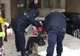 Femeie mutilată de concubin, în văzul oamenilor. A folosit un cutter şi o şurubelniţă
