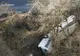 Cel puțin 13 turiști morți într-un accident de autobuz în Japonia