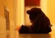 Cei doi copii din Giurgiu abuzaţi sexual de mamă ajung la un asistent maternal