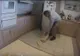 Se auzeau zgomote din spatele frigiderului. Ce va trăia acolo, în casa lor. ŞOC! Ce au găsit