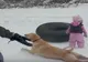 Cât de şmecher e câinele din imagine! Părinţii erau atenţi la copil 