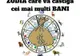 Zodia care va avea CEI MAI MULŢI BANI săptămâna aceasta!