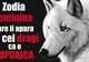 Zodia feminina care îi apără ca o lupoaică pe cei dragi