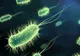 Ce este verotoxina, bacteria ucigaşă care cauzează E.coli