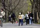 Record de temperatură la mijlocul lui februarie. Nu s-a mai întâmplat asta de 50 de ani