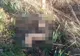 Au fost chemați să salveze o vidră rănită. S-au apropiat de animal și au avut un șoc uriaș