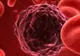 Puțini știu asta. Floarea miraculoasă care previne cancerul