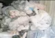 FĂRĂ PRECEDENT. Carne veche de 40 de ani, pusă în vânzare la Constanța