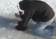 Au tot tras de fir, până când au simțit ceva greu. Nu le-a venit să creadă ce au scos pe copcă
