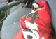 Au spart geamul mașinii să salveze un bebeluș. Polițiștii au încremenit! Ce se afla printre scutece