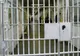 Condiţii dure în penitenciarele din România. Normele de aplicare pentru Legea 254, întârziate