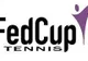 Căpitanul echipei de tenis a Cehiei crede că întâlnirea cu România este deschisă oricărui rezultat